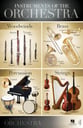 Instruments of the Orchestra Poster 22